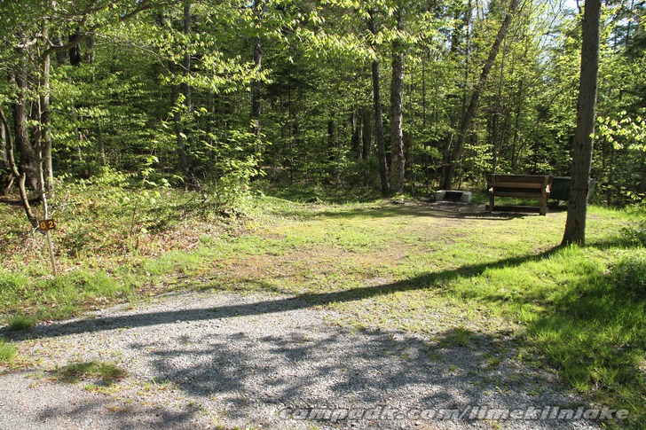 Campsite Photo of Site 82 at Limekiln Lake Campground, New York - Looking at Site from Road Sign Visible