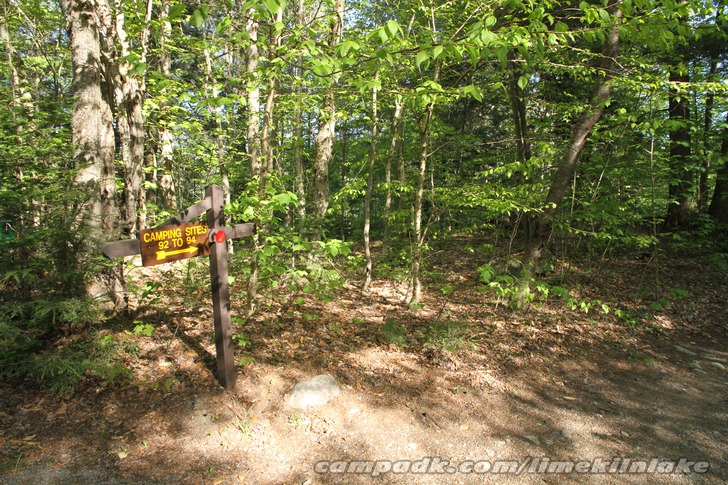 Campsite Photo of Site 92 at Limekiln Lake Campground, New York - Looking at Site from Road Sign Visible