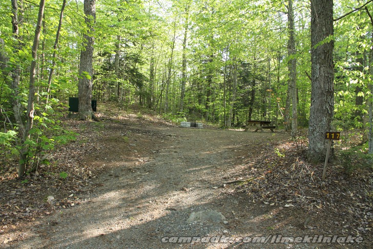 Campsite Photo of Site 117 at Limekiln Lake Campground, New York - Looking at Site from Road Sign Visible