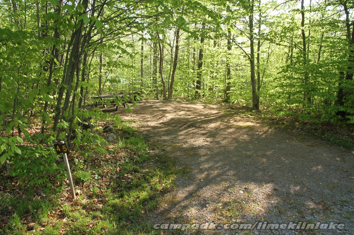 Campsite Photo of Site 45 at Limekiln Lake Campground, New York - Looking at Site from Road Sign Visible