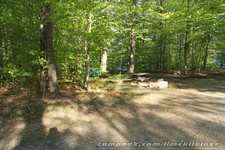 Campsite Photo of Site 40 at Limekiln Lake Campground, New York - Looking at Site from Road Sign Visible