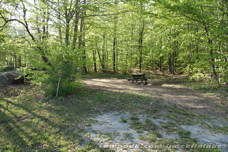 Campsite Photo of Site 35 at Limekiln Lake Campground, New York - Looking at Site from Road Sign Visible