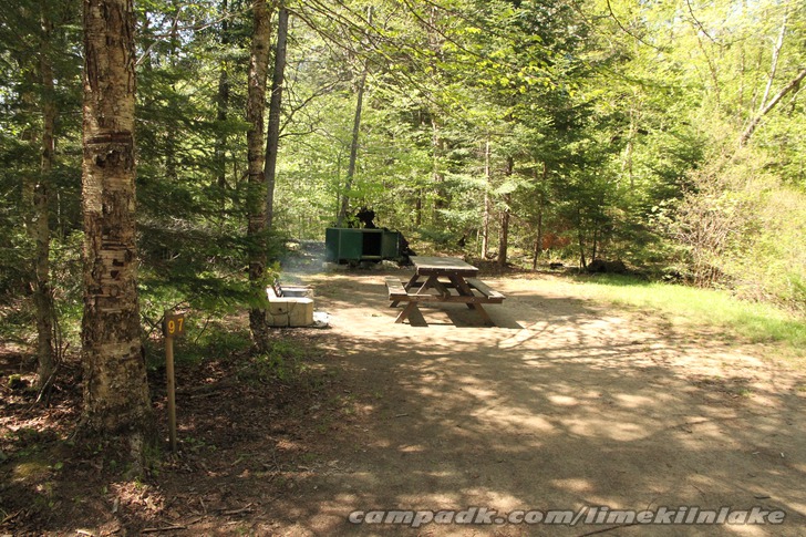 Campsite Photo of Site 97 at Limekiln Lake Campground, New York - Looking at Site from Road Sign Visible
