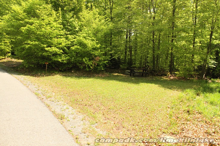 Campsite Photo of Site 225 at Limekiln Lake Campground, New York - Looking at Site from Road Sign Visible