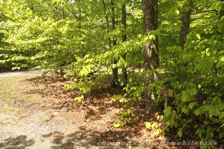 Campsite Photo of Site 230 at Limekiln Lake Campground, New York - Looking at Site from Road Sign Visible