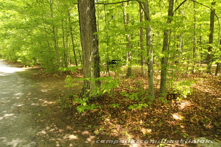 Campsite Photo of Site 235 at Limekiln Lake Campground, New York - Looking at Site from Road Sign Visible