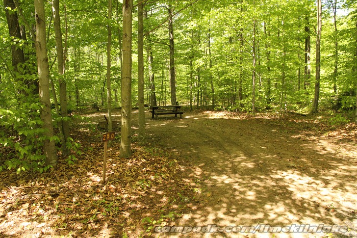 Campsite Photo of Site 250 at Limekiln Lake Campground, New York - Looking at Site from Road Sign Visible