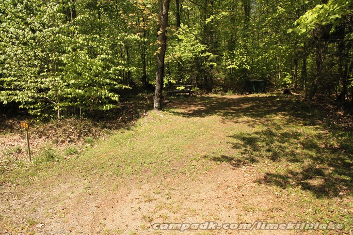 Campsite Photo of Site 260 at Limekiln Lake Campground, New York - Looking at Site from Road Sign Visible