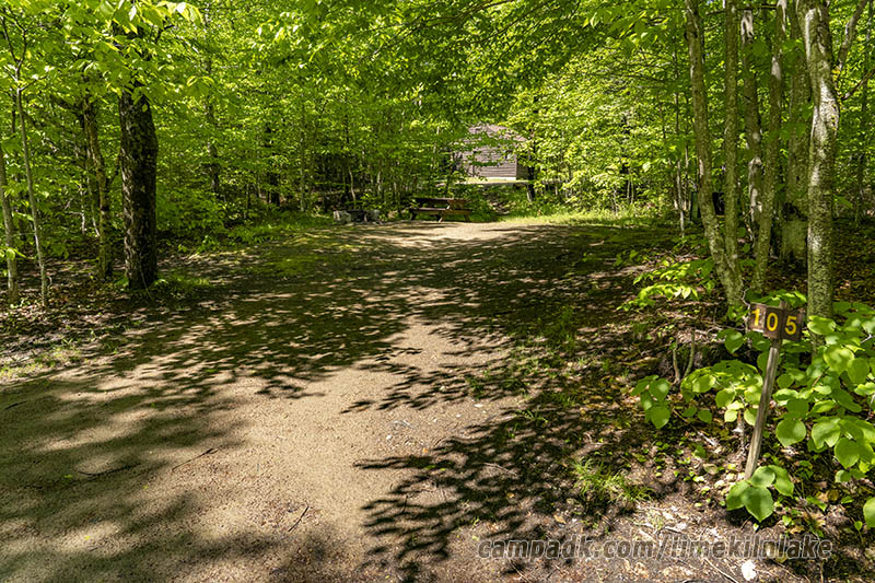 Campsite Photo of Site 105 at Limekiln Lake Campground, New York - Looking at Site from Road Sign Visible