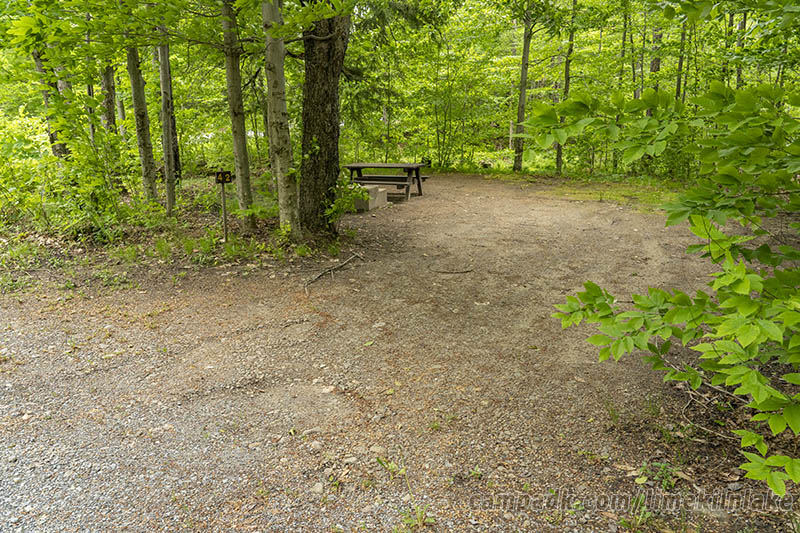 Campsite Photo of Site 42 at Limekiln Lake Campground, New York - Looking at Site from Road Sign Visible