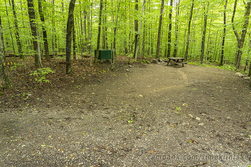 Campsite Photo of Site 243 at Limekiln Lake Campground, New York - Looking at Site from Road Sign Visible