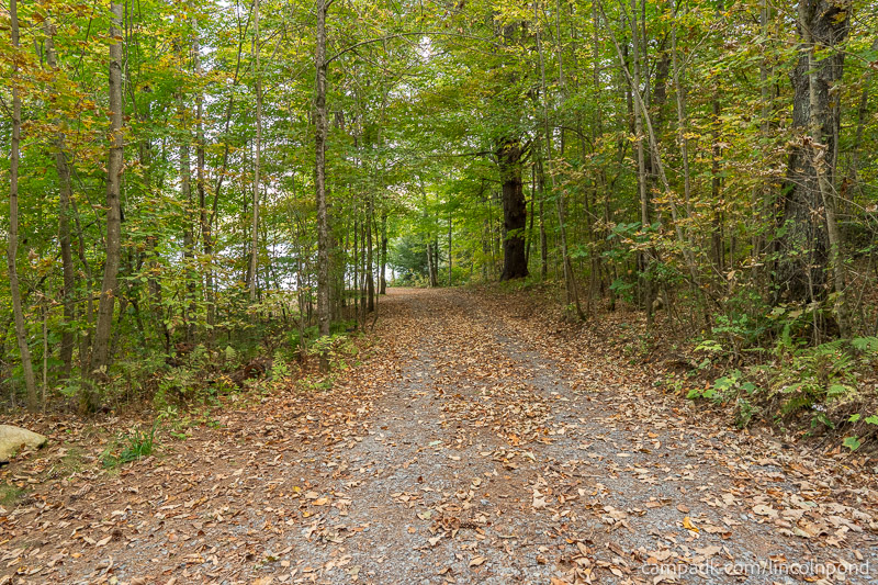 Campsite Photo of Site 26R at Lincoln Pond Campground, New York - Looking at Site from Road