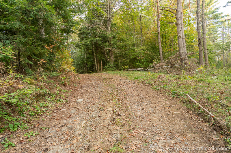 Campsite Photo of Site 28R at Lincoln Pond Campground, New York - Looking at Site from Part Way In