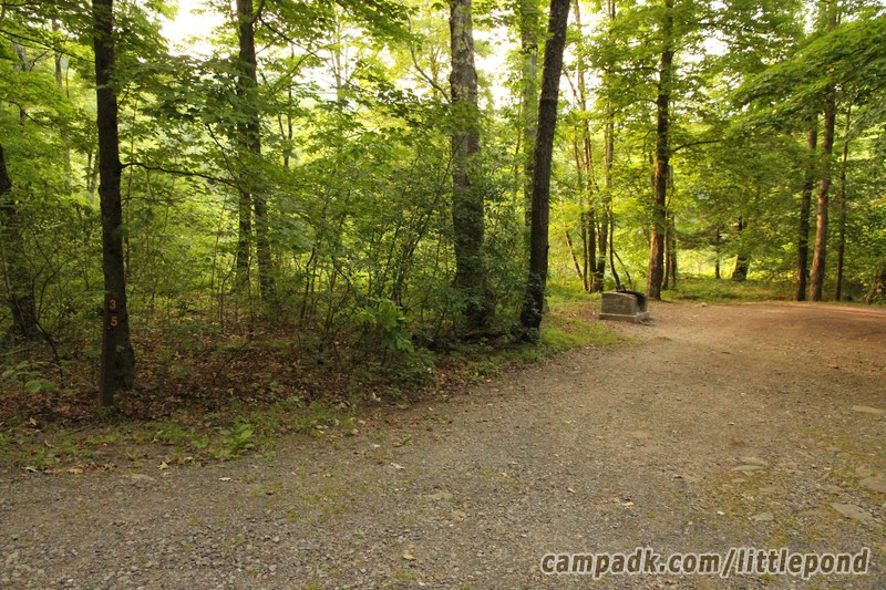 Campsite Photo of Site 35 at Little Pond Campground, New York - Looking at Site from Road Sign Visible