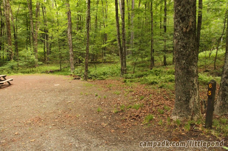 Campsite Photo of Site 65 at Little Pond Campground, New York - Looking at Site from Road Sign Visible