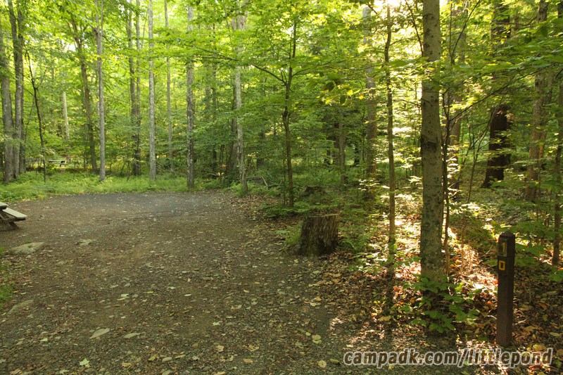 Campsite Photo of Site 10 at Little Pond Campground, New York - Looking at Site from Road Sign Visible