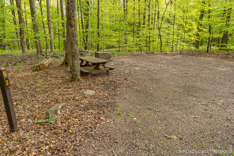 Campsite Photo of Site 52 at Little Pond Campground, New York - Looking at Site from Road Sign Visible