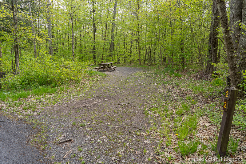 Campsite Photo of Site 22 at Little Pond Campground, New York - Looking at Site from Road Sign Visible