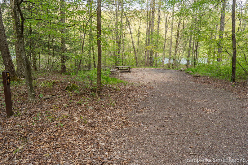 Campsite Photo of Site 31 at Little Pond Campground, New York - Looking at Site from Road Sign Visible