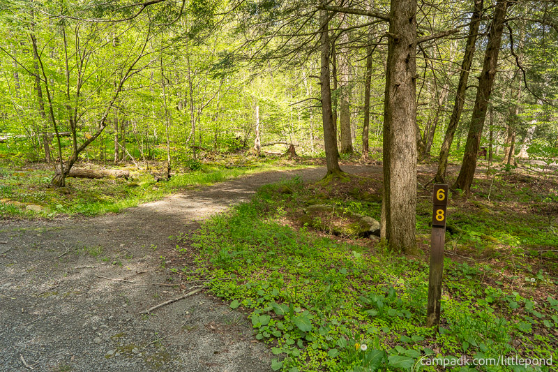 Campsite Photo of Site 68 at Little Pond Campground, New York - Looking at Site from Road Sign Visible