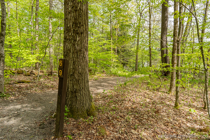 Campsite Photo of Site 69 at Little Pond Campground, New York - Looking at Site from Road Sign Visible