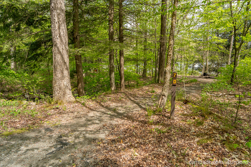 Campsite Photo of Site 70 at Little Pond Campground, New York - Looking at Site from Road Sign Visible