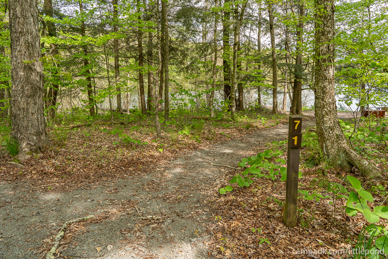 Campsite Photo of Site 71 at Little Pond Campground, New York - Looking at Site from Road Sign Visible