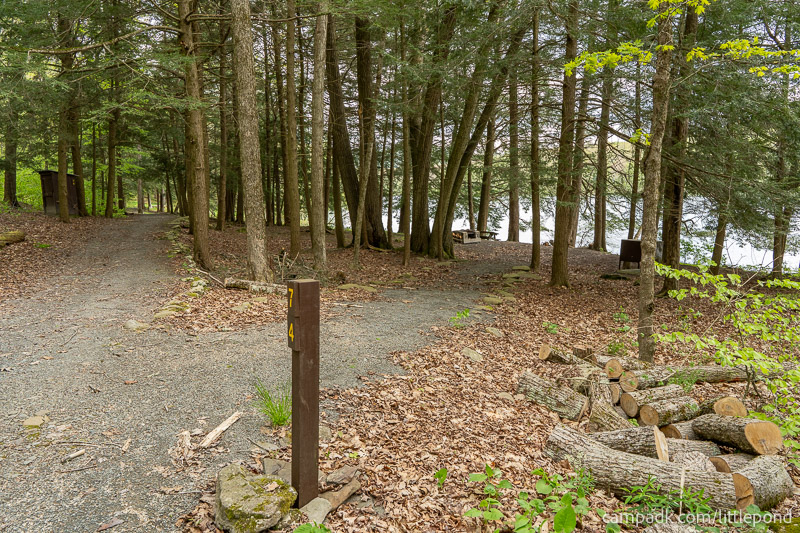 Campsite Photo of Site 74 at Little Pond Campground, New York - Looking at Site from Road Sign Visible