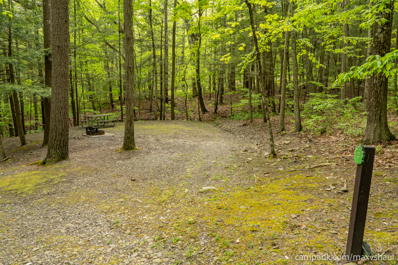 Campsite Photo of Site 2 at Max V Shaul State Park, New York - Looking at Site from Road Sign Visible
