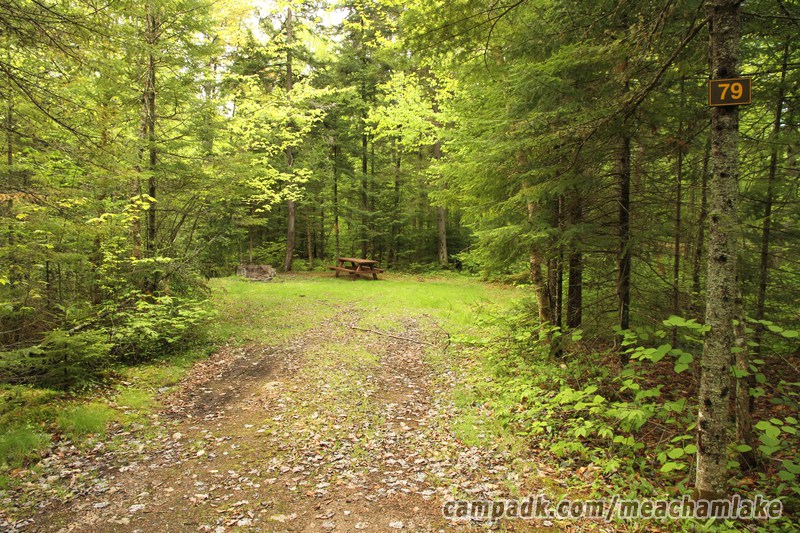 Campsite Photo of Site 79 at Meacham Lake Campground, New York - Looking at Site from Road Sign Visible