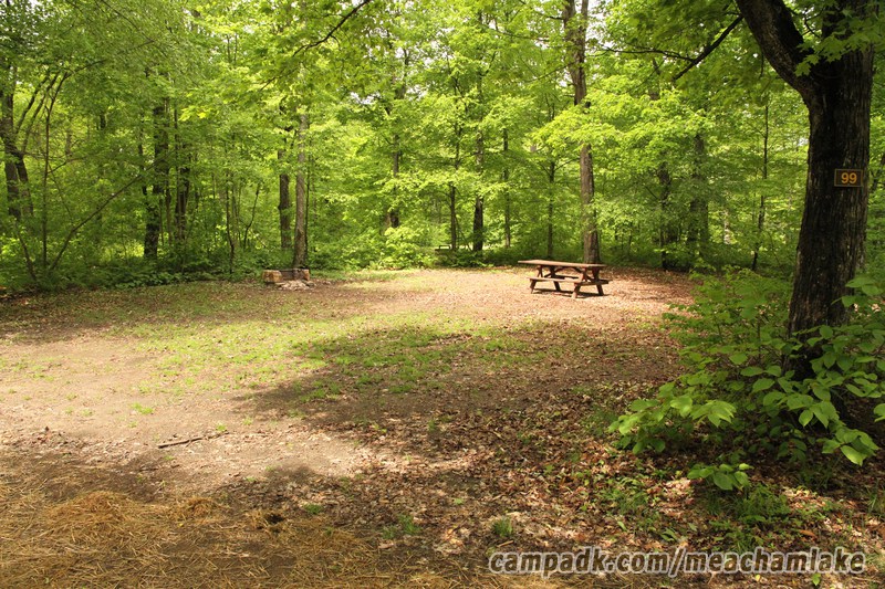 Campsite Photo of Site 99 at Meacham Lake Campground, New York - Looking at Site from Road Sign Visible