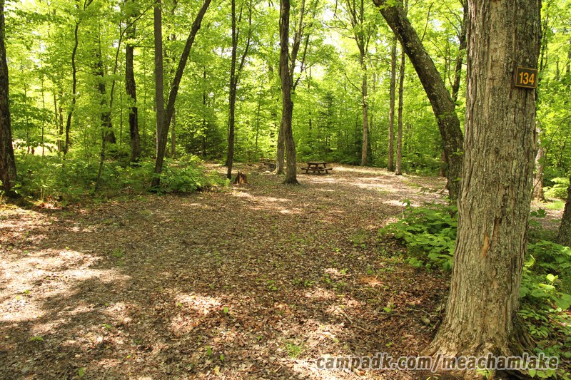 Campsite Photo of Site 134 at Meacham Lake Campground, New York - Looking at Site from Road Sign Visible