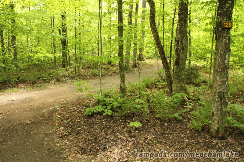 Campsite Photo of Site 129 at Meacham Lake Campground, New York - Looking at Site from Road Sign Visible