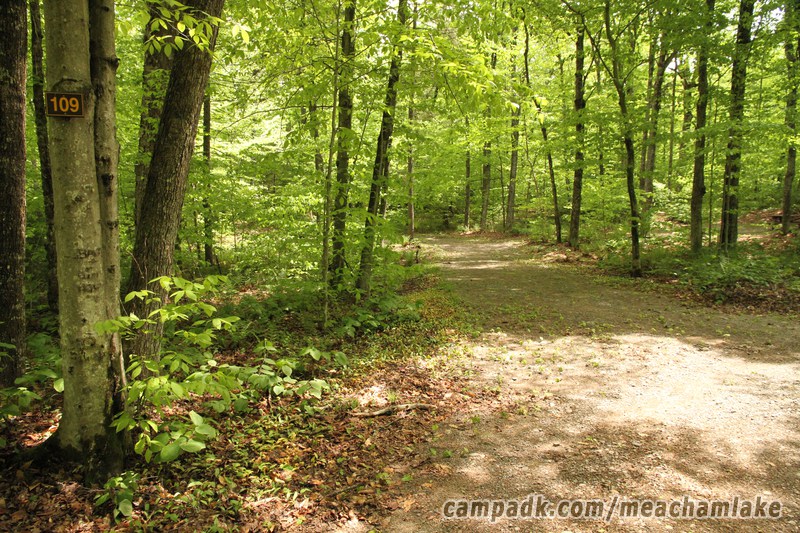 Campsite Photo of Site 109 at Meacham Lake Campground, New York - Looking at Site from Road Sign Visible