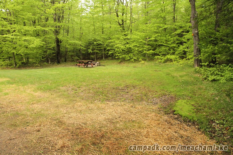 Campsite Photo of Site 69 at Meacham Lake Campground, New York - Looking at Site from Road Sign Visible