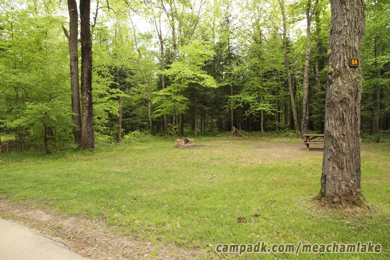 Campsite Photo of Site 64 at Meacham Lake Campground, New York - Looking at Site from Road Sign Visible