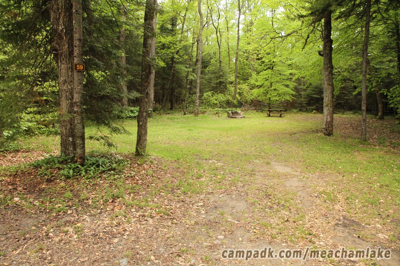 Campsite Photo of Site 59 at Meacham Lake Campground, New York - Looking at Site from Road Sign Visible