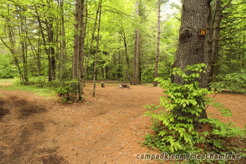 Campsite Photo of Site 24 at Meacham Lake Campground, New York - Looking at Site from Road Sign Visible
