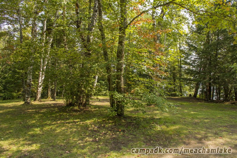 Campsite Photo of Site 179 at Meacham Lake Campground, New York - Looking at Site from Road
