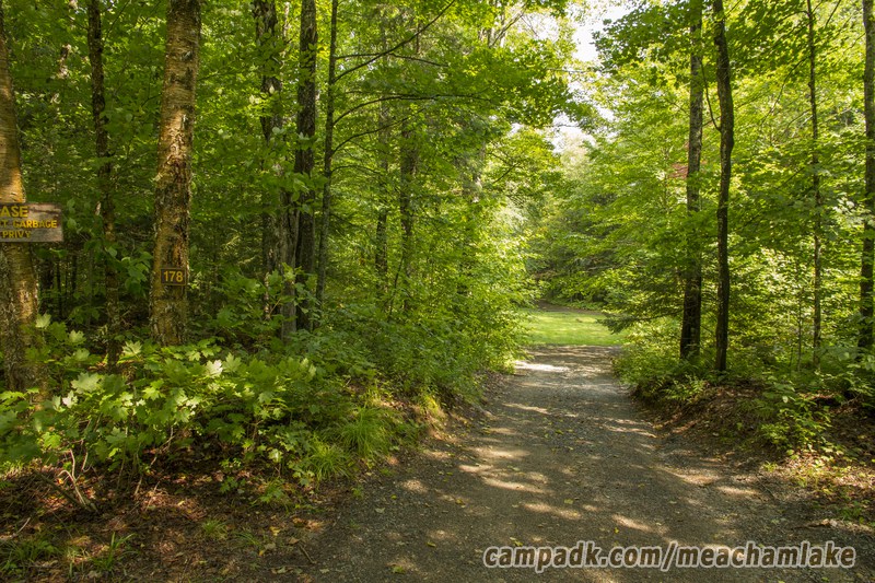 Campsite Photo of Site 178 at Meacham Lake Campground, New York - Looking at Site from Road Sign Visible