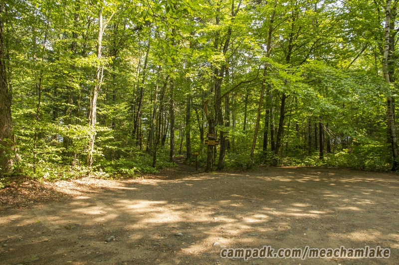 Campsite Photo of Site 177 at Meacham Lake Campground, New York - Looking at Site from Road Sign Visible
