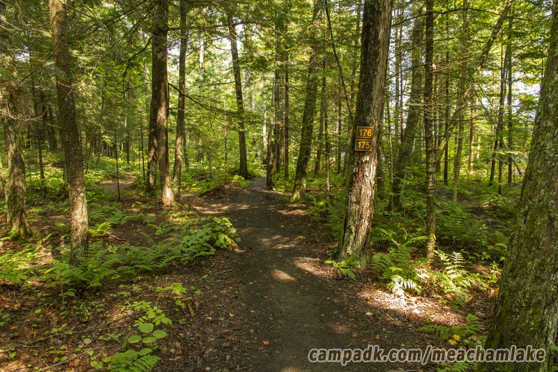 Campsite Photo of Site 175 at Meacham Lake Campground, New York - Looking at Site from Road Sign Visible
