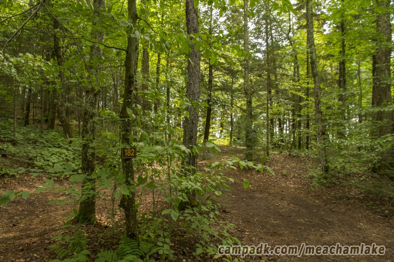 Campsite Photo of Site 182 at Meacham Lake Campground, New York - Looking at Site from Road Sign Visible