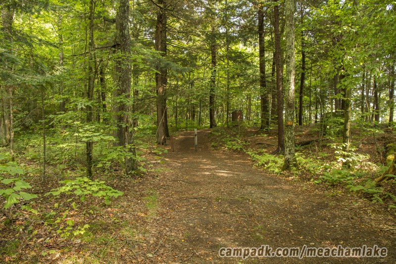 Campsite Photo of Site 183 at Meacham Lake Campground, New York - Looking at Site from Road Sign Visible