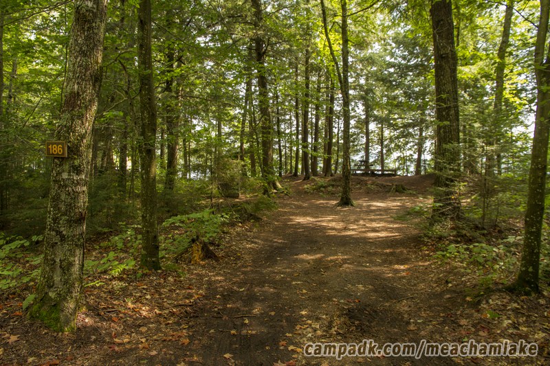 Campsite Photo of Site 186 at Meacham Lake Campground, New York - Looking at Site from Road Sign Visible