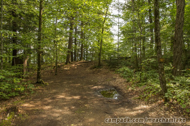 Campsite Photo of Site 187 at Meacham Lake Campground, New York - Looking at Site from Road Sign Visible