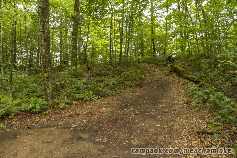 Campsite Photo of Site 188 at Meacham Lake Campground, New York - Looking at Site from Road Sign Visible