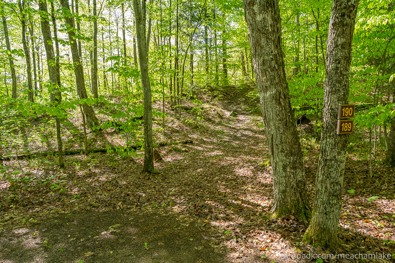 Campsite Photo of Site 189 at Meacham Lake Campground, New York - Looking at Site from Road Sign Visible