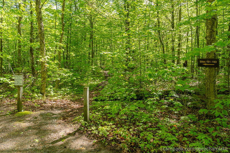 Campsite Photo of Site 191 at Meacham Lake Campground, New York - Looking at Site from Road Sign Visible