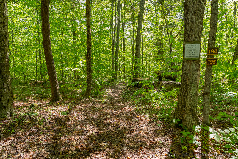 Campsite Photo of Site 194 at Meacham Lake Campground, New York - Looking at Site from Road Sign Visible
